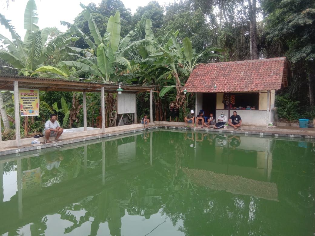 podiumnews.com-Budidaya Lele, Sudana: Awalnya Coba-coba, Ternyata Hasilnya Bagus